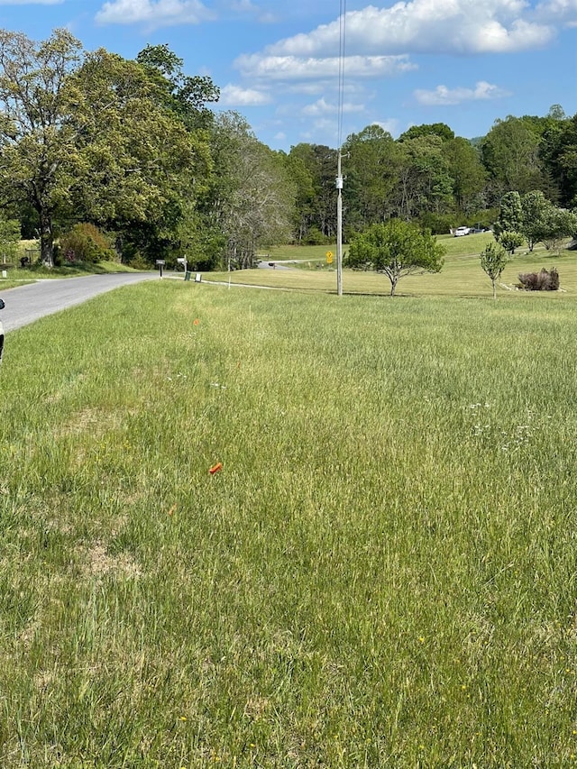 0 Quarles Rd, Thaxton, VA 24174