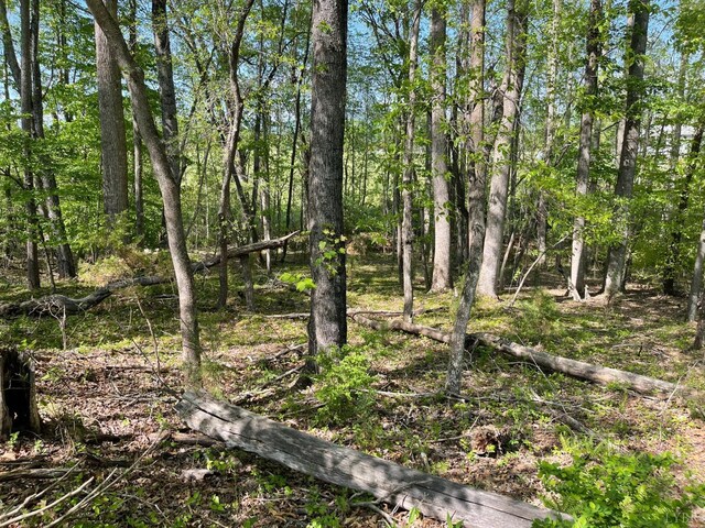 0 Quarles Rd, Thaxton, VA 24174