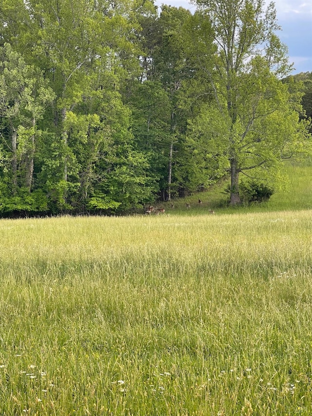 0 Quarles Rd, Thaxton, VA 24174