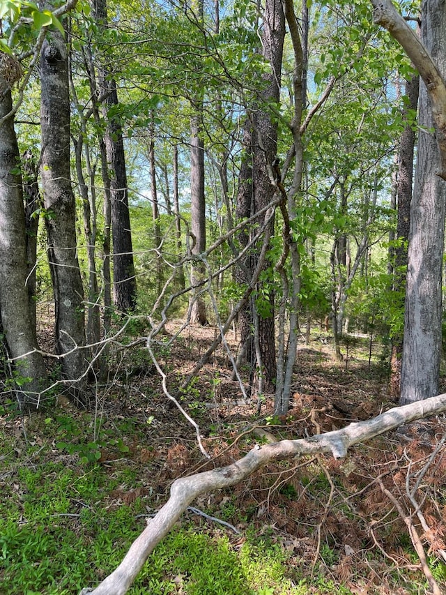 0 Quarles Rd, Thaxton, VA 24174
