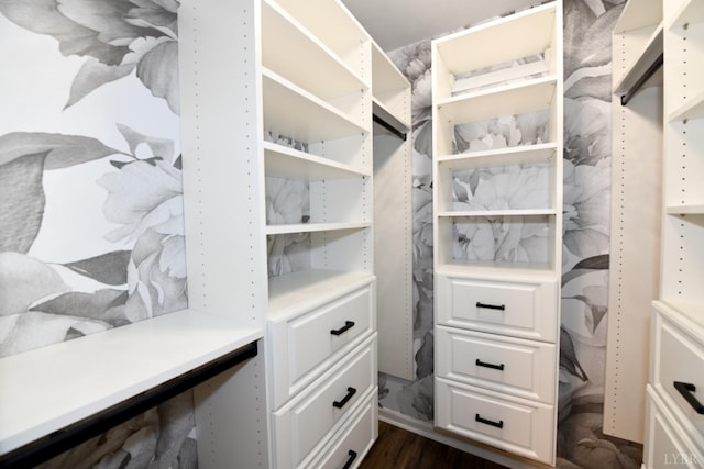 2130 Burnt Bridge Rd, Lynchburg, VA 24503 - spacious closet with dark wood-style floors