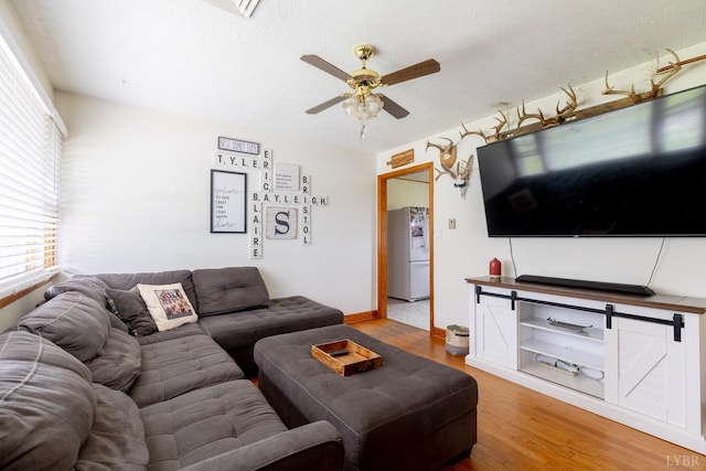 4100 Roark Mill Rd, Hurt, VA 24563 - living area featuring ceiling fan, light wood-type flooring, and plenty of natural light