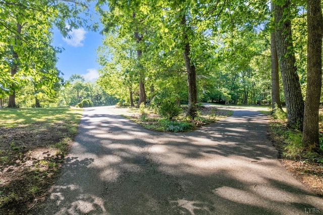 1068 Huckleberry Ln, Lynchburg, VA 24503 - view of street with a forest view