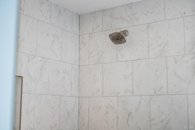 1068 Huckleberry Ln, Lynchburg, VA 24503 - detailed view of tiled shower