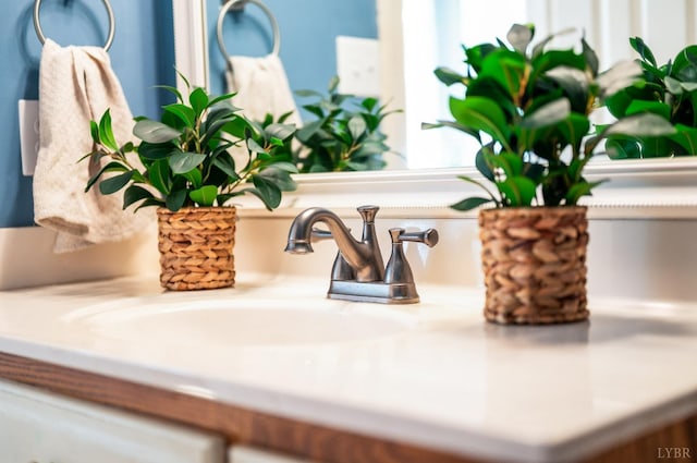 1068 Huckleberry Ln, Lynchburg, VA 24503 - bathroom view of vanity