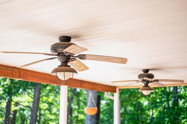 1068 Huckleberry Ln, Lynchburg, VA 24503 - detailed view of a ceiling fan