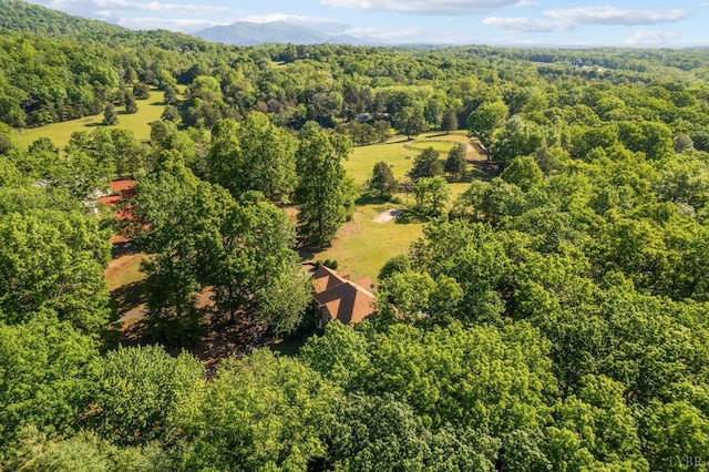 1068 Huckleberry Ln, Lynchburg, VA 24503 - drone / aerial view of a forest