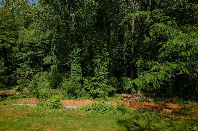 1426 Nelson Dr, Lynchburg, VA 24502 - view of wooded area