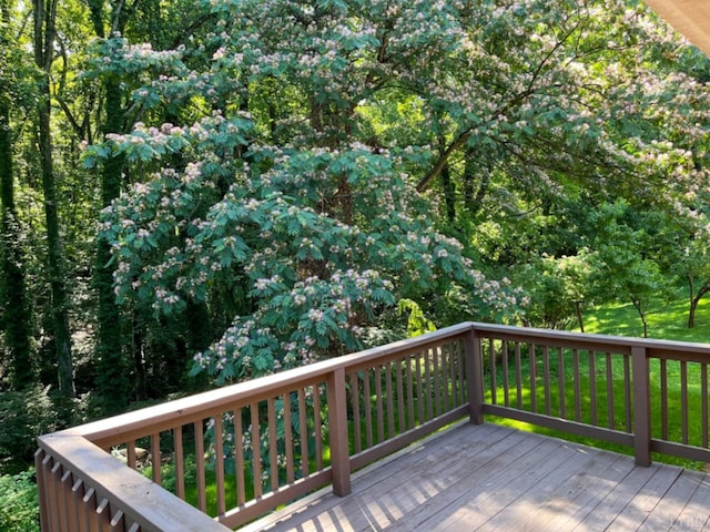 1426 Nelson Dr, Lynchburg, VA 24502 - view of deck
