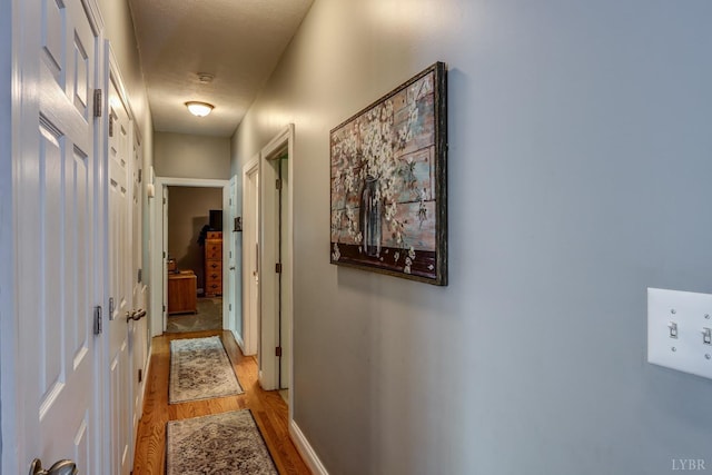 206 Bella Ct, Lynchburg, VA 24502 - corridor featuring light wood-style floors and baseboards
