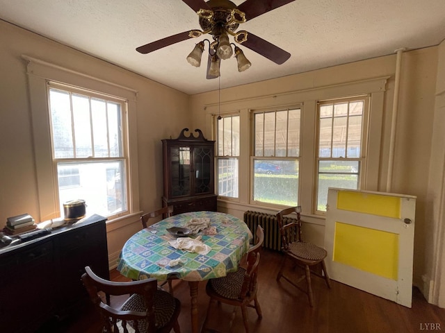 1706 Floyd St, Lynchburg, VA 24501 - dining area featuring radiator heating unit, wood finished floors, plenty of natural light, and a ceiling fan