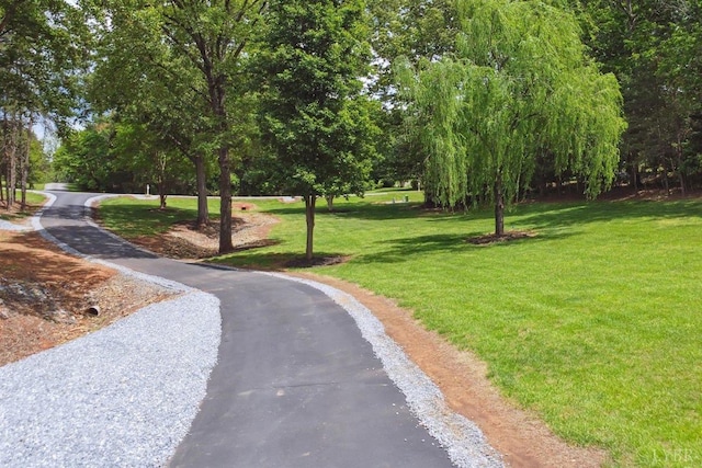 112 Cedarwood Ct, Forest, VA 24551 - view of community featuring a yard and view of wooded area