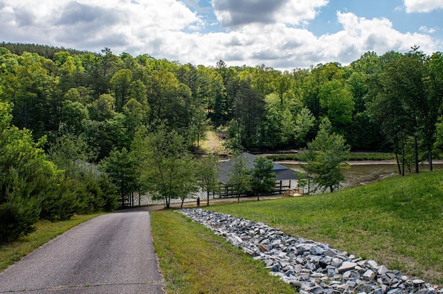 0 Watchtower Dr, Moneta, VA 24121