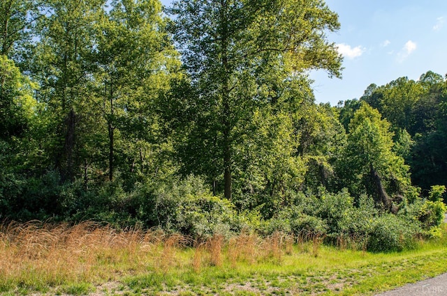 0 Watchtower Dr, Moneta, VA 24121