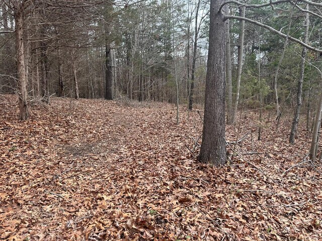 7941 Sugar Hill Rd, Brookneal, VA 24528