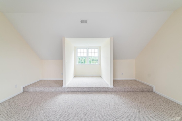 126 Golf Course Trl, Amherst, VA 24521 - additional living space with carpet floors and lofted ceiling