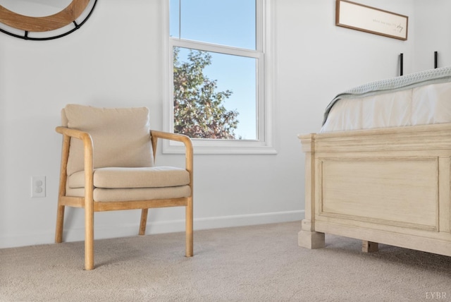 71 Patrick Ct, Madison Heights, VA 24572 - bedroom featuring multiple windows, carpet floors, and baseboards