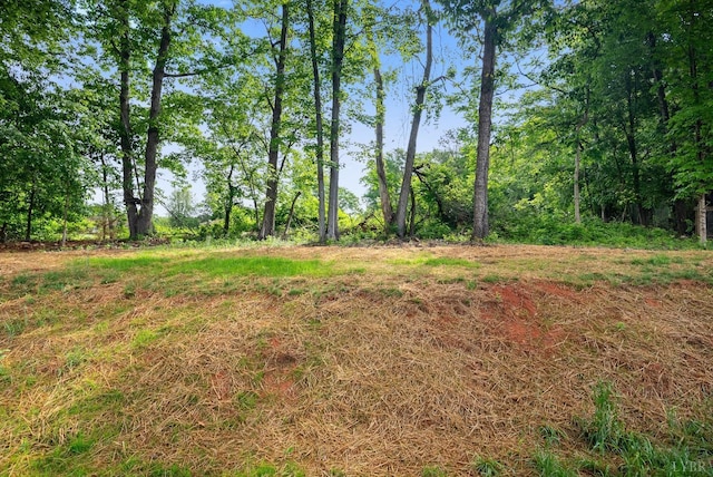 71 Patrick Ct, Madison Heights, VA 24572 - view of local wilderness