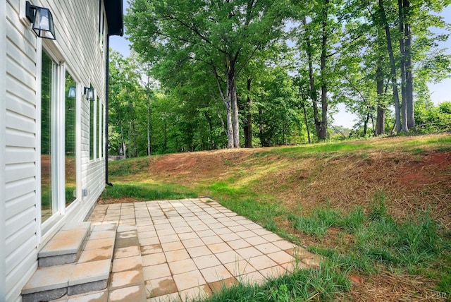 71 Patrick Ct, Madison Heights, VA 24572 - view of yard with a patio