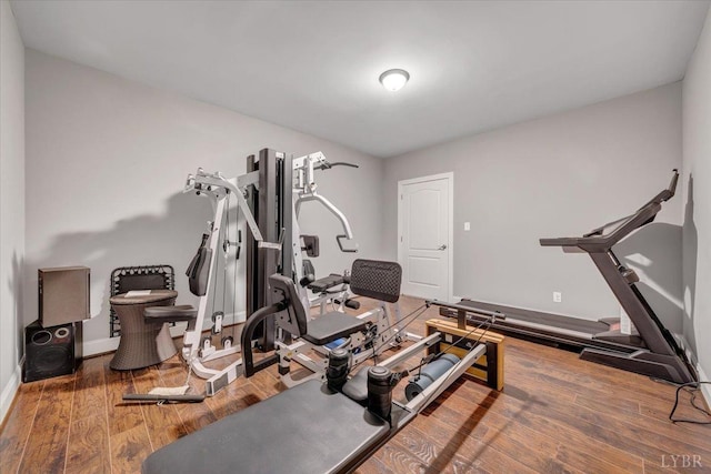 1037 Deer Hollow Rd, Forest, VA 24551 - workout room with wood finished floors and baseboards