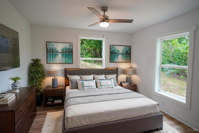 1001 3rd St, Lynchburg, VA 24504 - bedroom with multiple windows, light wood-style floors, and a ceiling fan