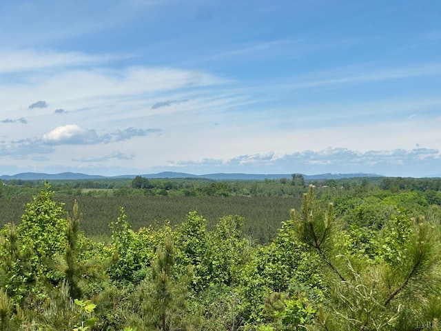 0 Three Creeks Rd, Gladys, VA 24554