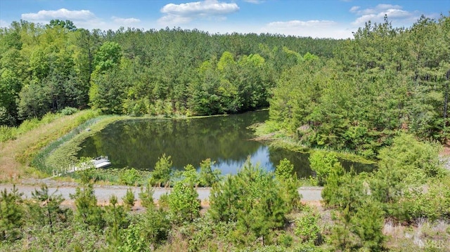 20438 Wyatts Way, Evington, VA 24550 - aerial view of property's location featuring a forest and a large body of water