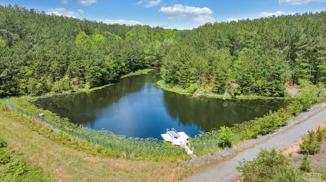 20438 Wyatts Way, Evington, VA 24550 - water view featuring a heavily wooded area