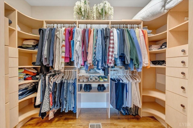 20438 Wyatts Way, Evington, VA 24550 - spacious closet featuring wood finished floors