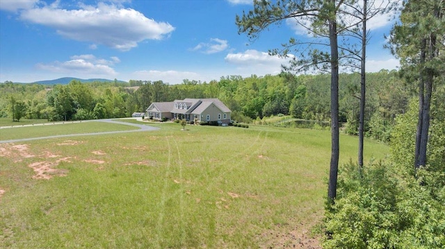 20438 Wyatts Way, Evington, VA 24550 - photo 80