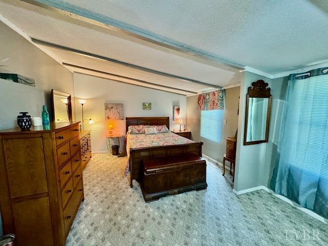 3164 Trent Hatchery Rd, Appomattox, VA 24522 - photo 17