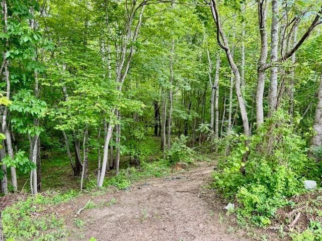 3164 Trent Hatchery Rd, Appomattox, VA 24522 - view of tree filled area