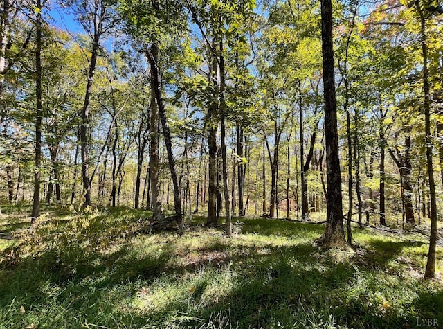 0 Mill Dam Ln, Forest, VA 24551