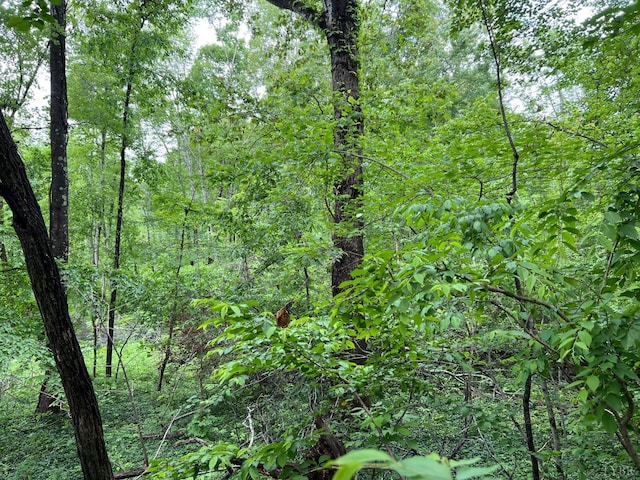 0 Glenacres Dr, Rustburg, VA 24588