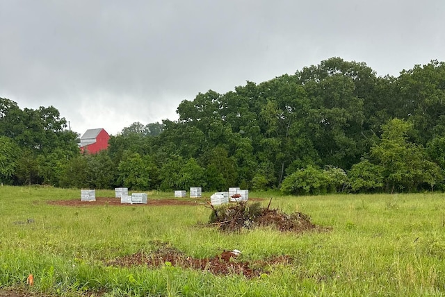 7942 Bear Creek Rd, Gladys, VA 24554 - view of yard featuring a wooded view