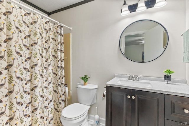 full bathroom featuring toilet, vanity, and curtained shower
