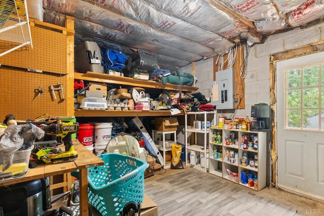 storage room with electric panel