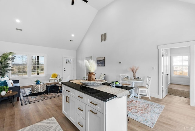 133 Fox Hall Dr, Amherst, VA 24521 - kitchen featuring high vaulted ceiling, healthy amount of natural light, light wood finished floors, white cabinets, and a center island