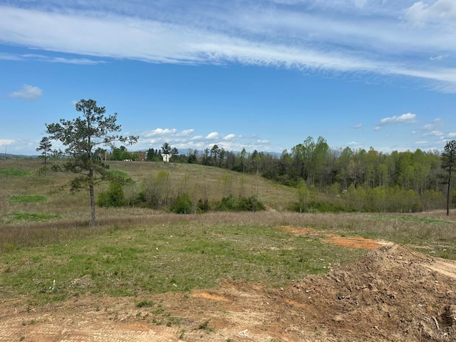 133 Fox Hall Dr, Amherst, VA 24521 - view of nature with rural landscape