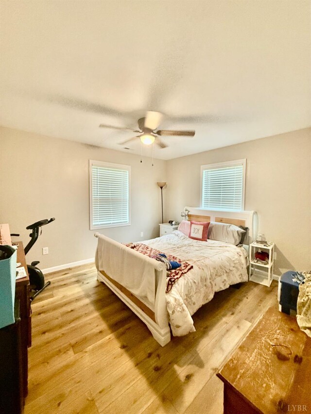 446 Plum Branch Rd, Lynchburg, VA 24504 - bedroom featuring light wood-type flooring, multiple windows, ceiling fan, and baseboards