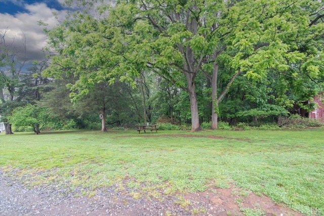 1920 Roxbury St, Lynchburg, VA 24501 - view of grassy yard
