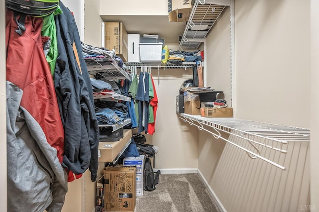 1810 Broadway St Unit 211, Lynchburg, VA 24501 - walk in closet with carpet flooring