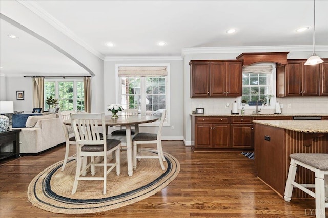 101 Trinity Ct, Lynchburg, VA 24502 - kitchen featuring crown molding, healthy amount of natural light, light stone counters, a sink, and dark wood-type flooring