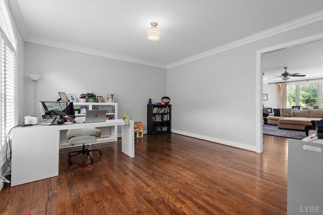 101 Trinity Ct, Lynchburg, VA 24502 - office space featuring crown molding, wood finished floors, baseboards, and a ceiling fan