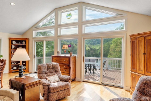 806 Cedar Key Ln, Huddleston, VA 24104 - living area featuring light wood-style floors and high vaulted ceiling