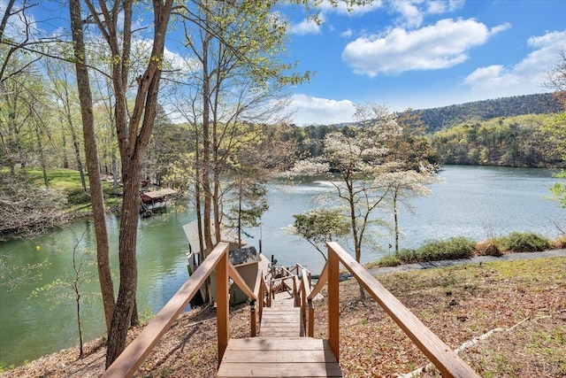 806 Cedar Key Ln, Huddleston, VA 24104 - water view with a heavily wooded area