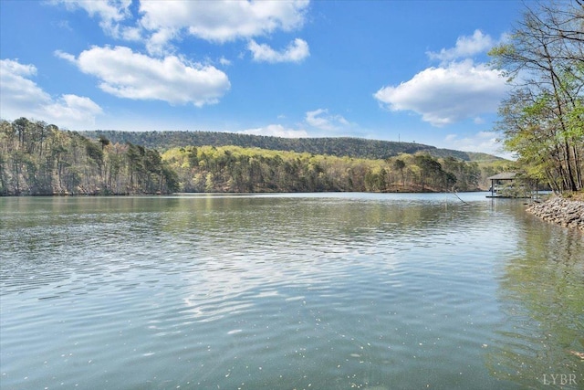 806 Cedar Key Ln, Huddleston, VA 24104 - water view featuring a heavily wooded area
