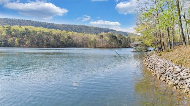 806 Cedar Key Ln, Huddleston, VA 24104 - water view featuring a forest