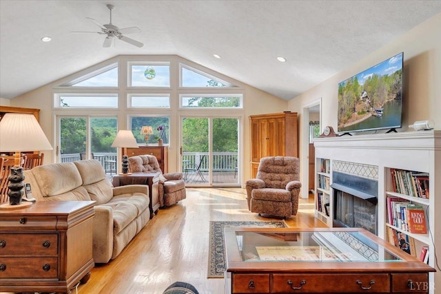 806 Cedar Key Ln, Huddleston, VA 24104 - living area featuring healthy amount of natural light, a fireplace, light wood finished floors, a ceiling fan, and vaulted ceiling
