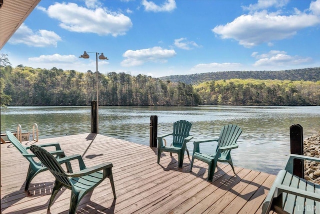806 Cedar Key Ln, Huddleston, VA 24104 - dock with a view of trees and a water view